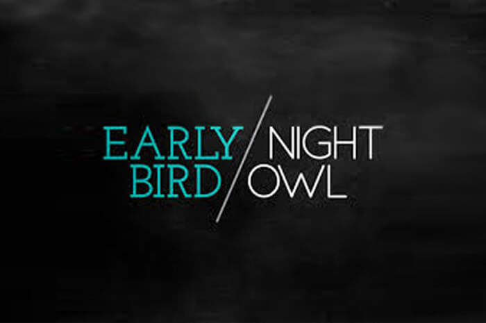 night owl early bird